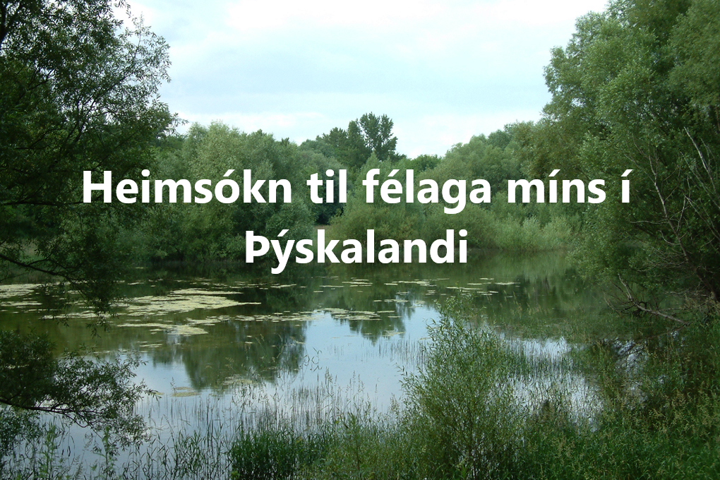 Heimsóknir flokkar