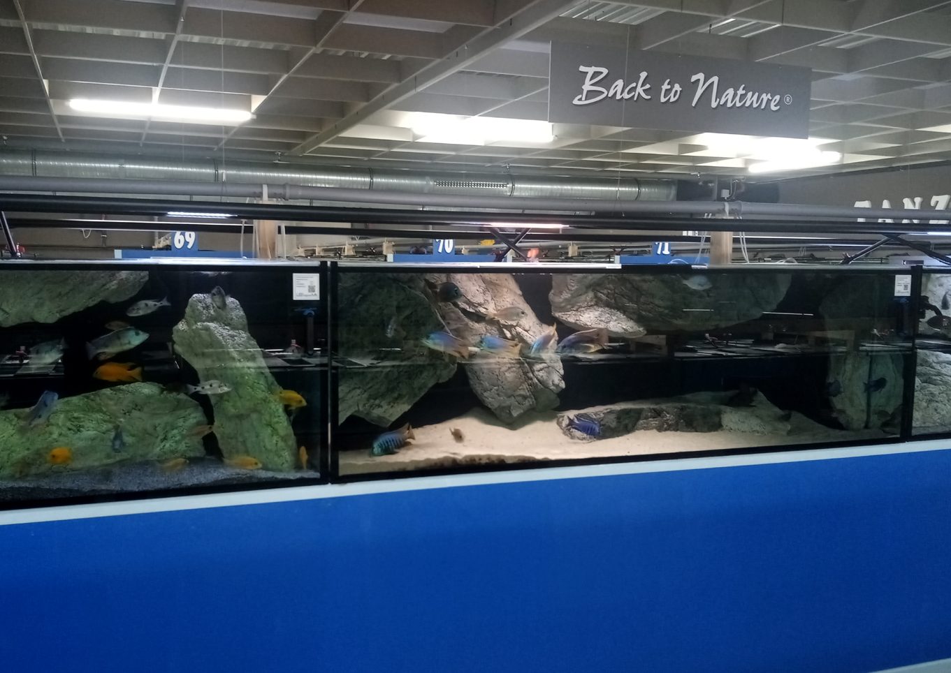 fiskabúðir Aquahaus gaus