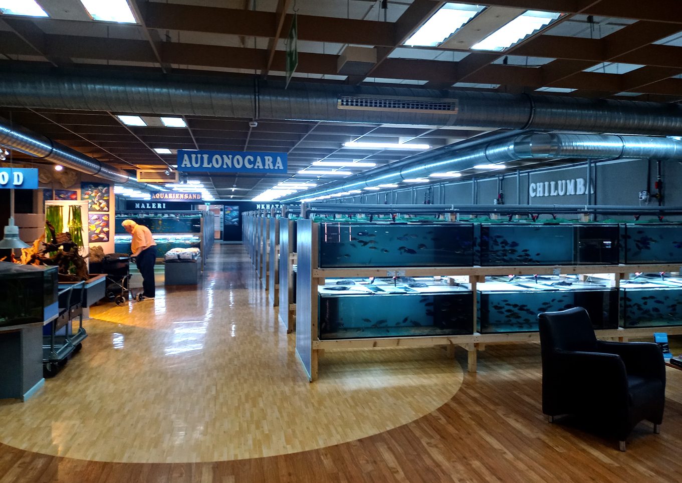 fiskabúðir Aquahaus gaus